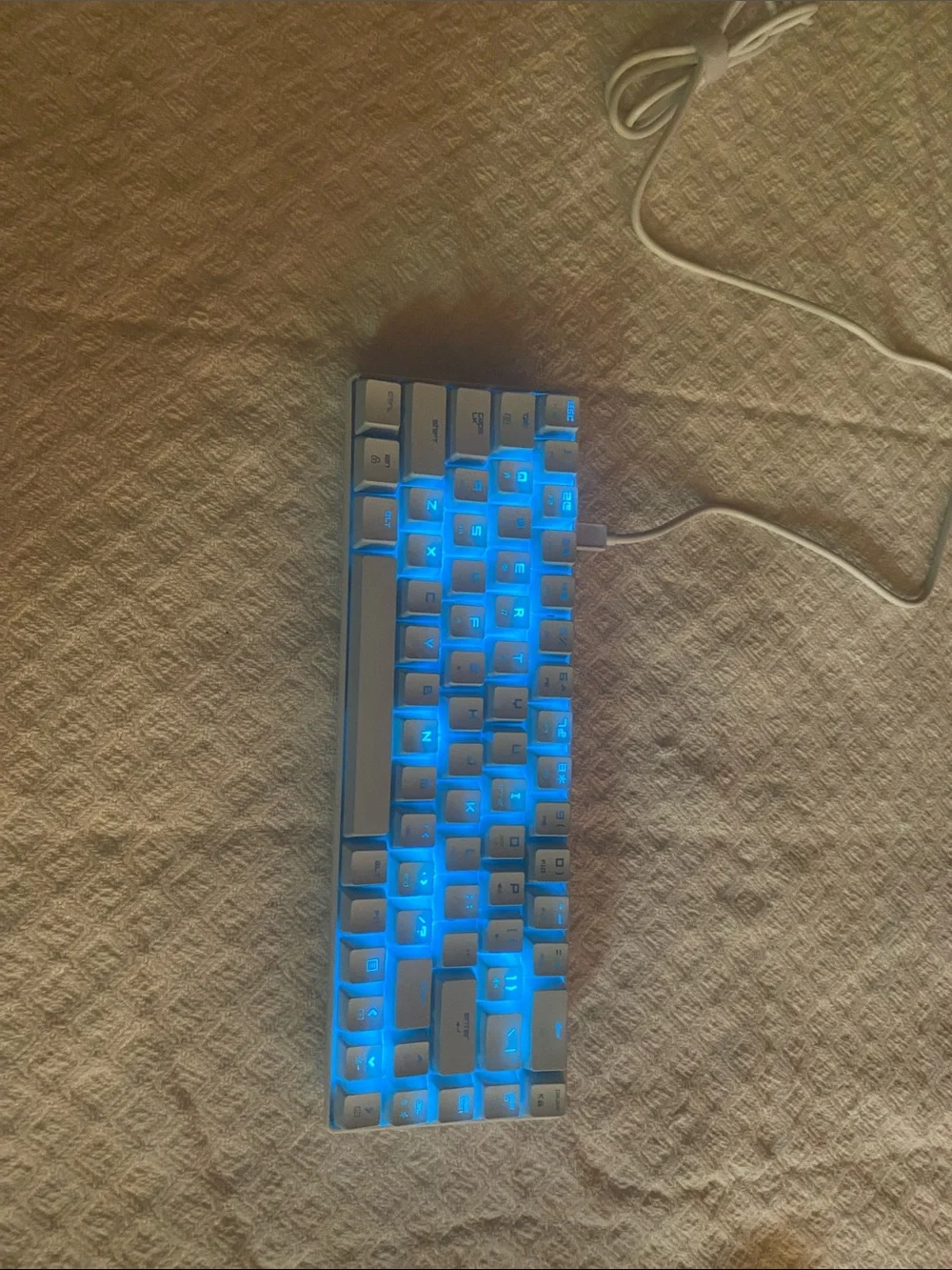 mamba snake mouse keyboard